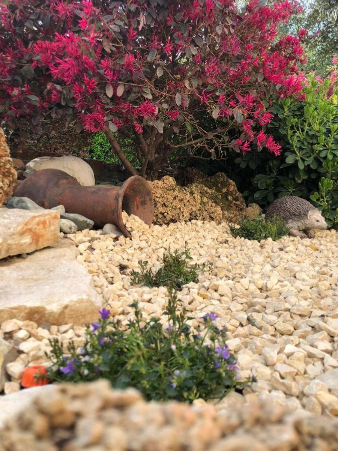 Residenza Airone ξενώνας Βιτσέντζα Εξωτερικό φωτογραφία