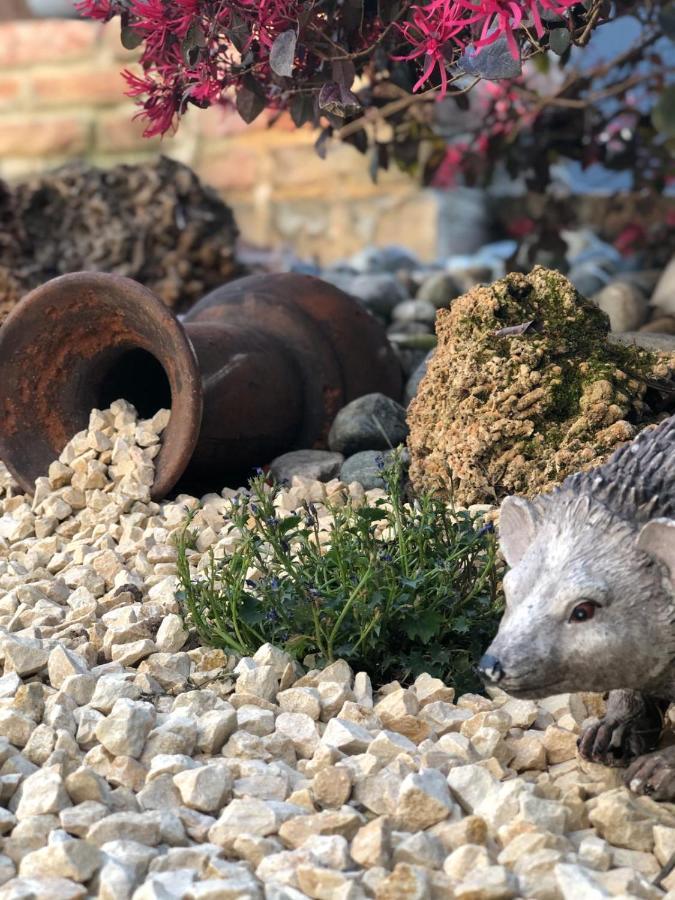 Residenza Airone ξενώνας Βιτσέντζα Εξωτερικό φωτογραφία